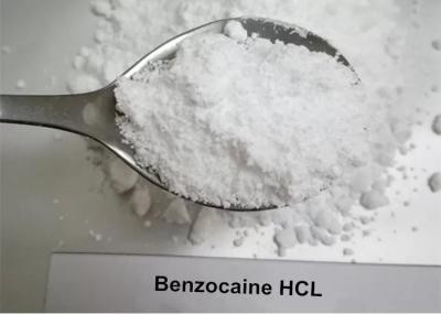 局部麻酔およびAnalgesiaのBenzocaineの塩酸塩は23239-88-5を粉にする