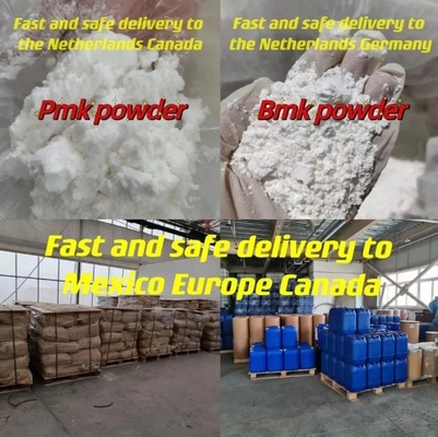 99%純度のbmkのpmkのethyl glycidate cas 28578-16-7/20320-59-6/52190-28-0/5449-12-7/5413-05-8の白い粉/オイル